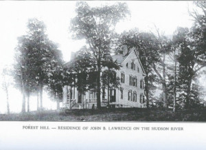 forest-hill
